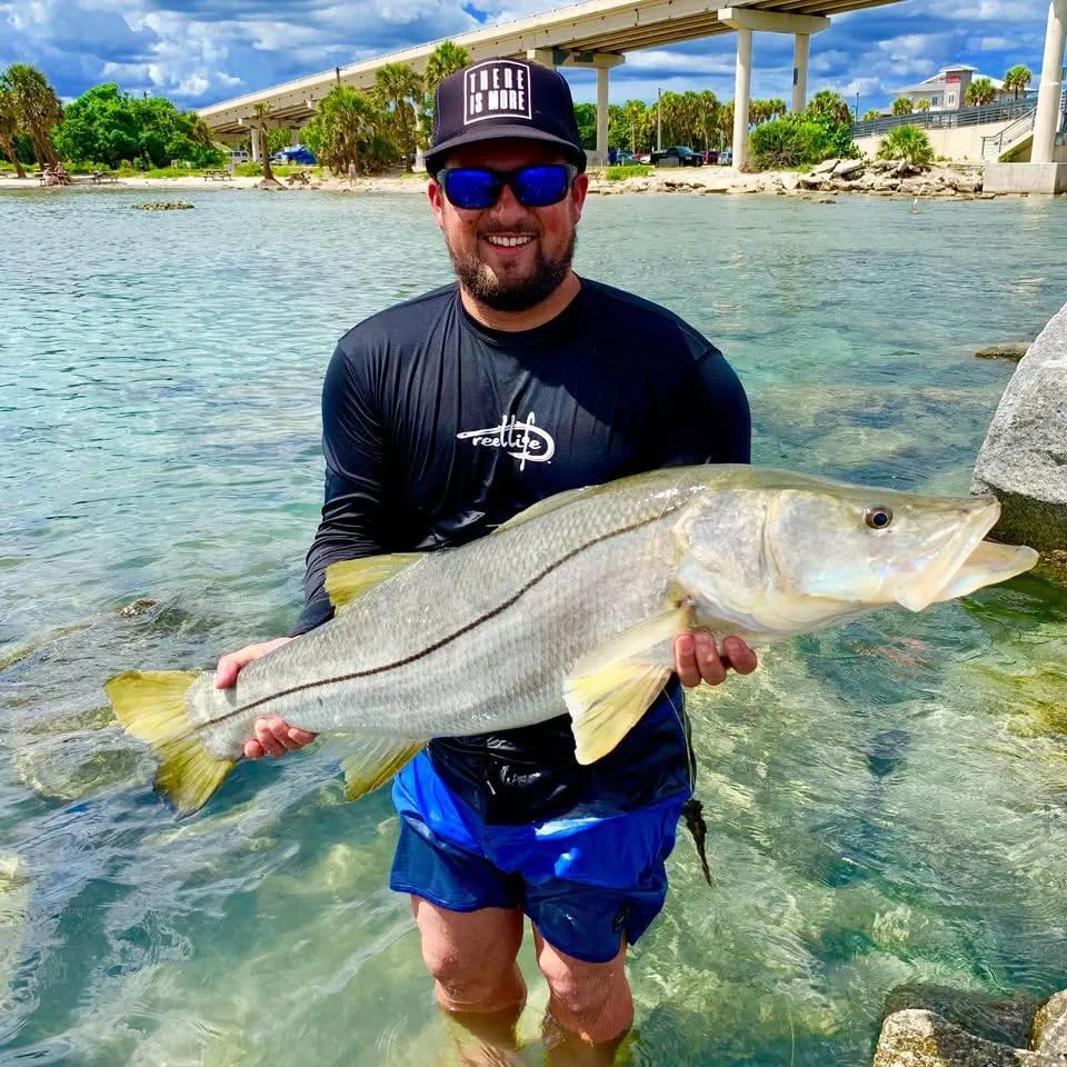 Fishing on Sebastian Inlet