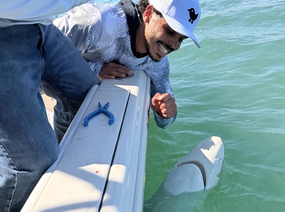Happy angler with a hammerhead shark caught on a Zookeeper Charter