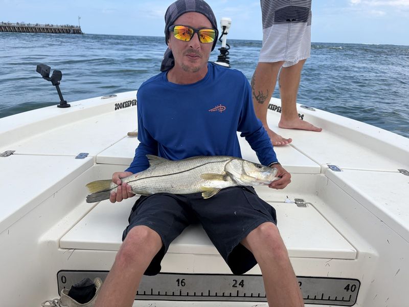 Big snook caught near Sebastian Inlet
