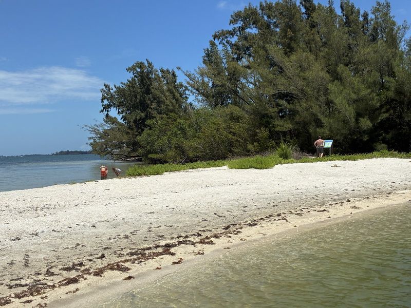 Island beach on a calm lagoon day
