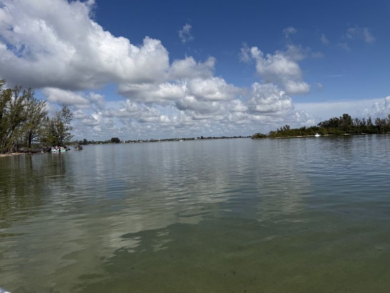 Lagoon shoreline on a wildlife and island trip
