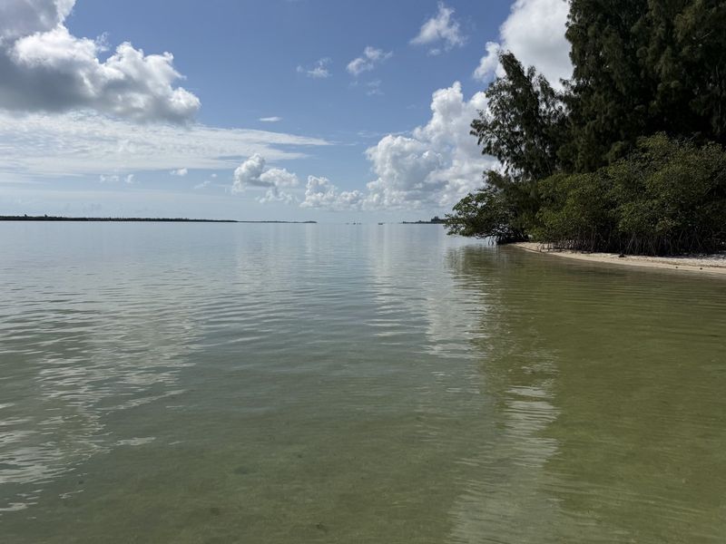 Flat calm water along a spoil island