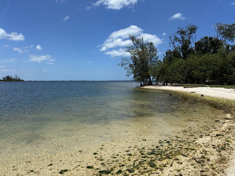 Spoil island shoreline, water under three feet