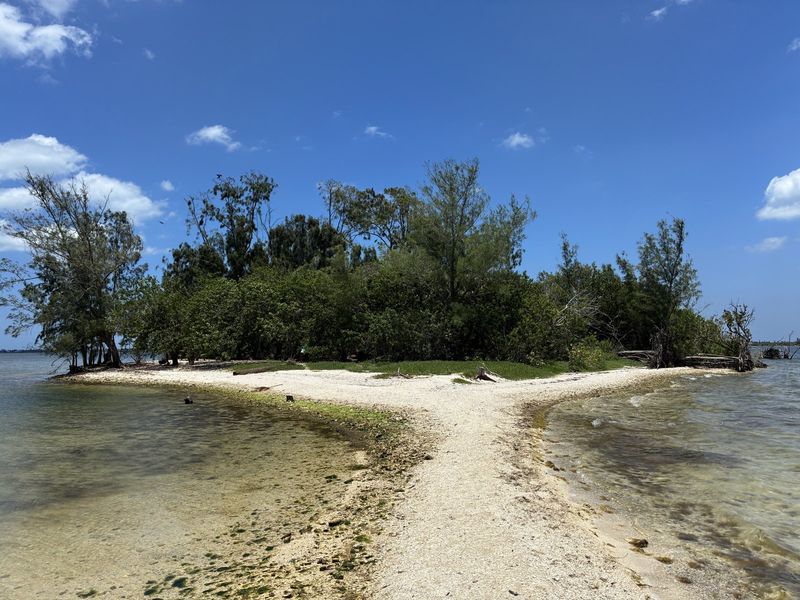 A spoil island in the Indian River Lagoon