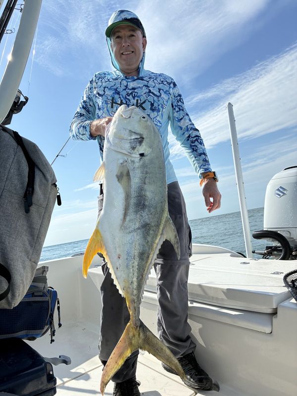 Jack crevalle caught nearshore off Sebastian Inlet