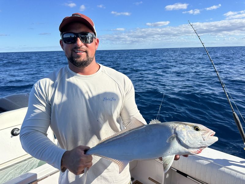 Jack crevalle on a nearshore reef trip