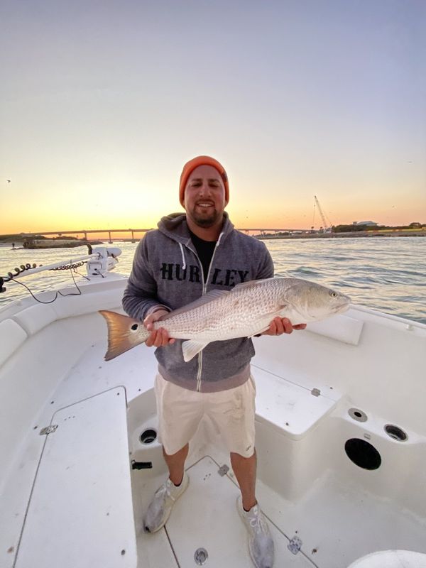 Snook caught at sunset