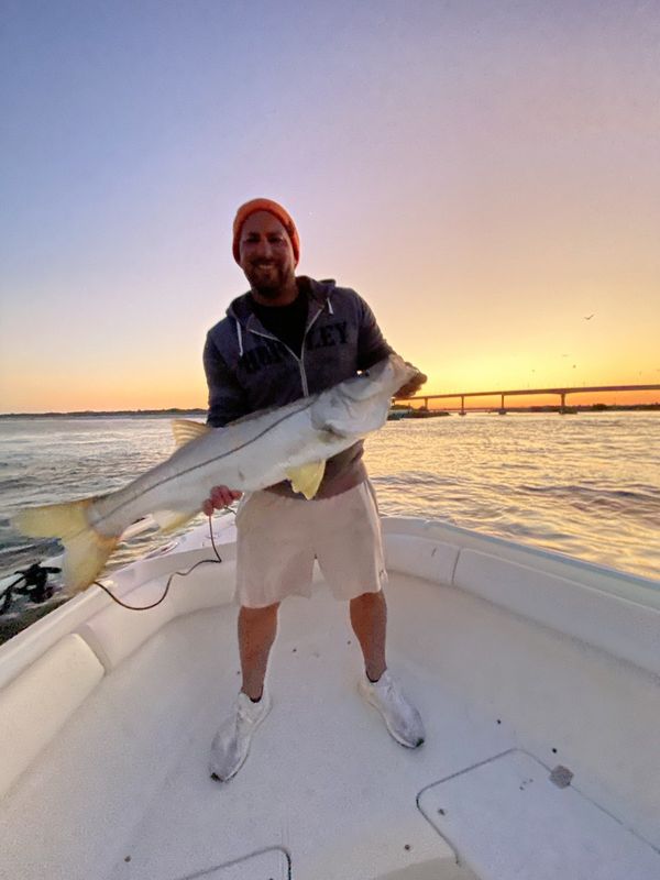 Snook at golden hour on the lagoon