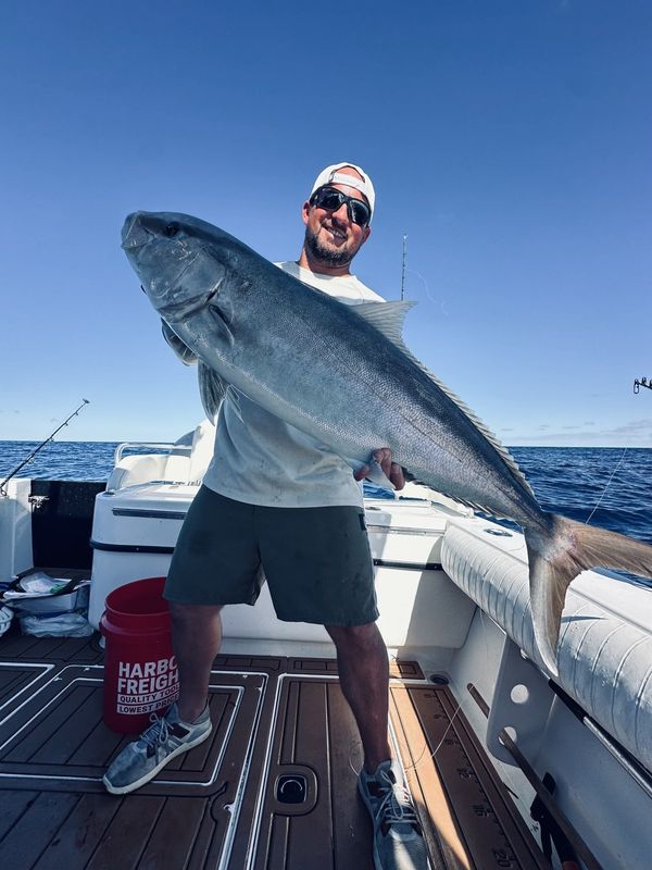Amberjack caught offshore