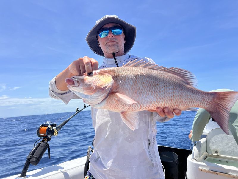 Mangrove snapper caught on the reef