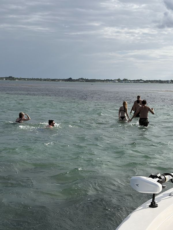 Guests swimming off the boat at the sandbar