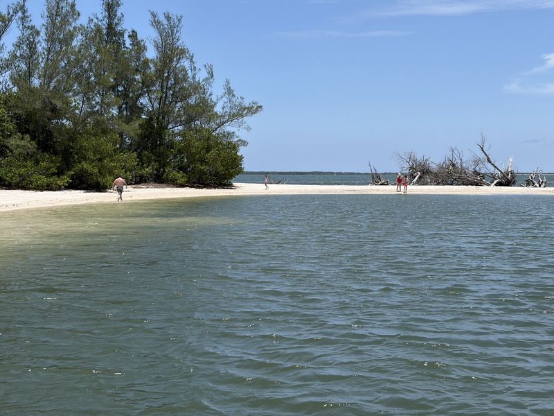 Mangrove island on the Coastal Wildlife Tour