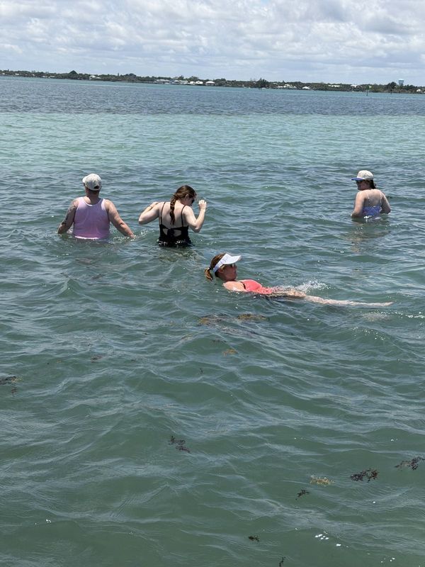 Snorkelling the shallows on a wildlife tour