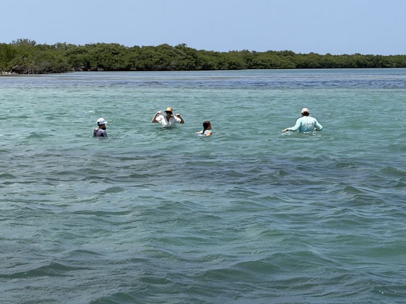 Guests in the water on a wildlife tour stop